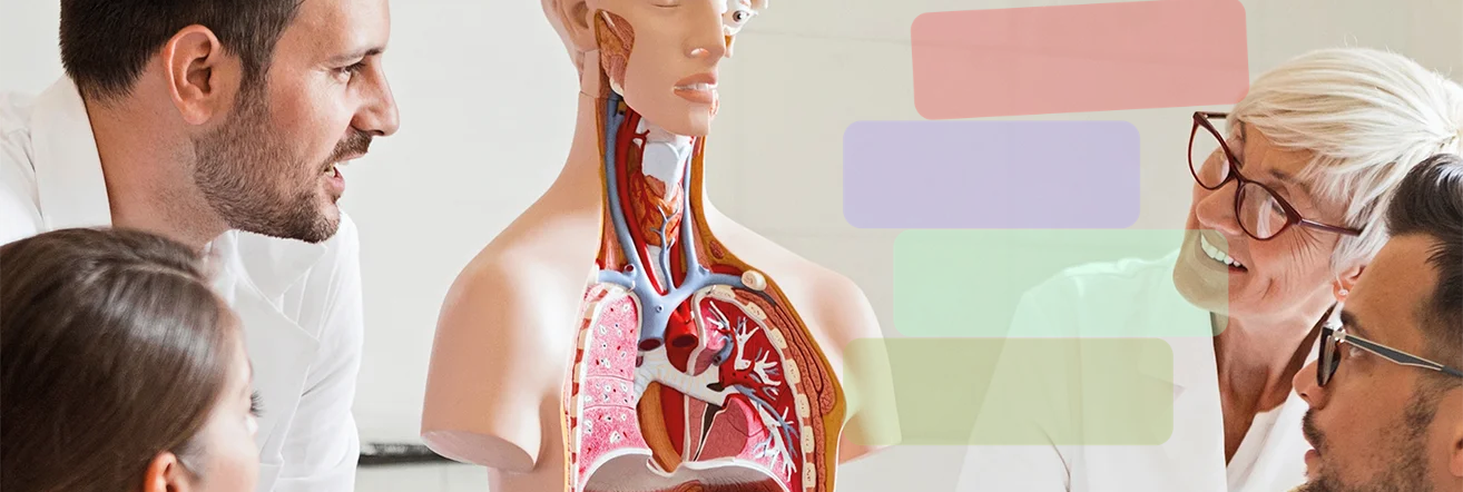 Ontwerp zonder titel (20)